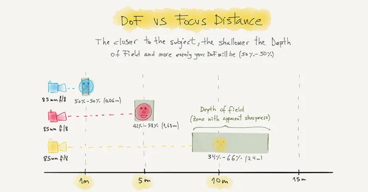 Depth of Field: Guide for Beginners