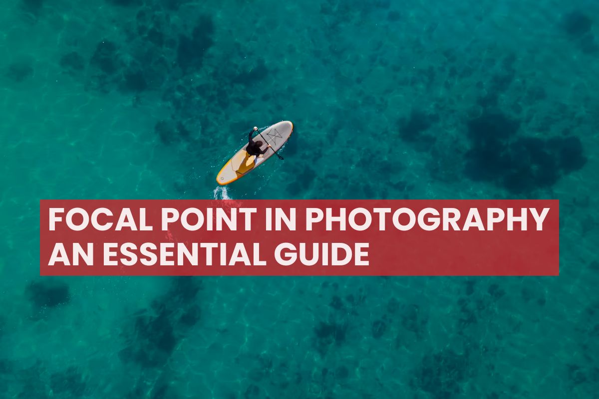 Focal Point in Photography: An Essential Guide