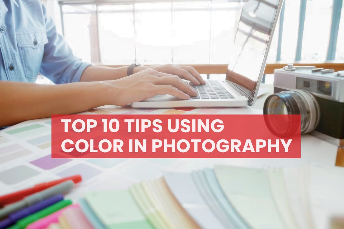 Top 10 Tips Using Color in Photography