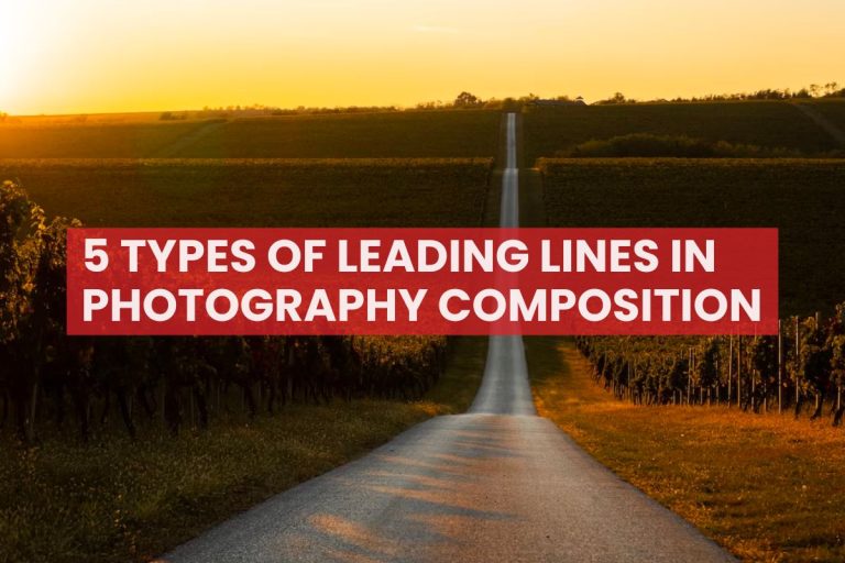 5 types of Leading Lines in Photography Composition