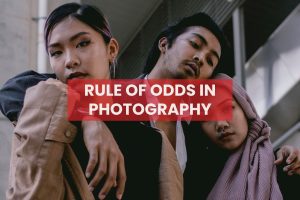 Rule of Odds in Photography