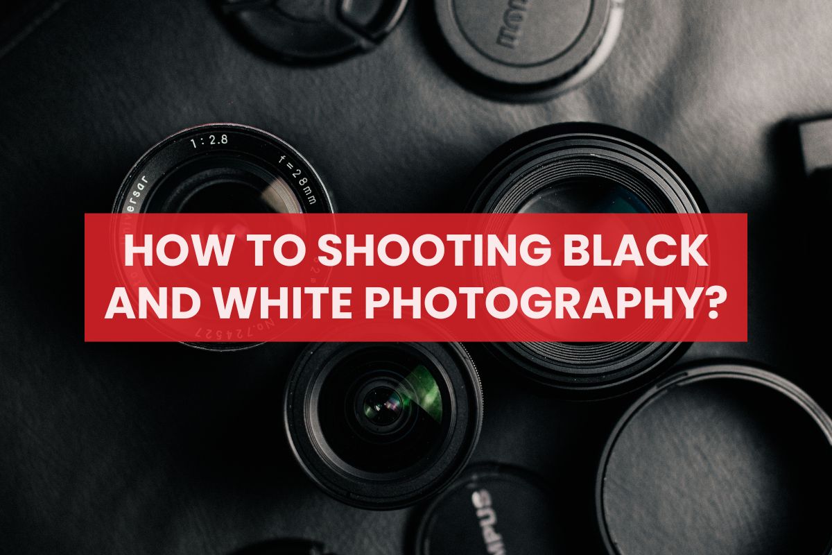 Shooting Black and White Photography: How to Compose Brilliant Photos?