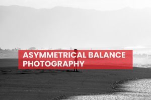 Asymmetrical Balance Photography
