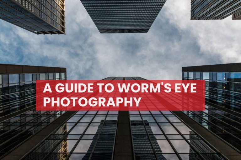 A Guide to Worms Eye Photography